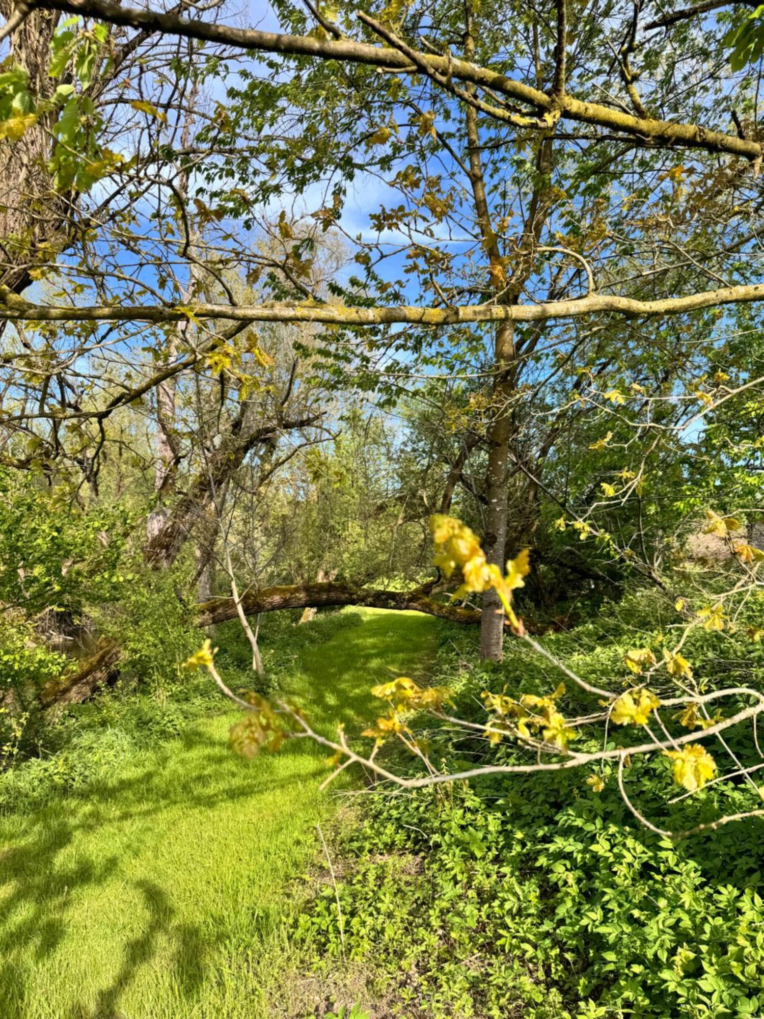 Am Flussgarten Eriskirch Exterior foto