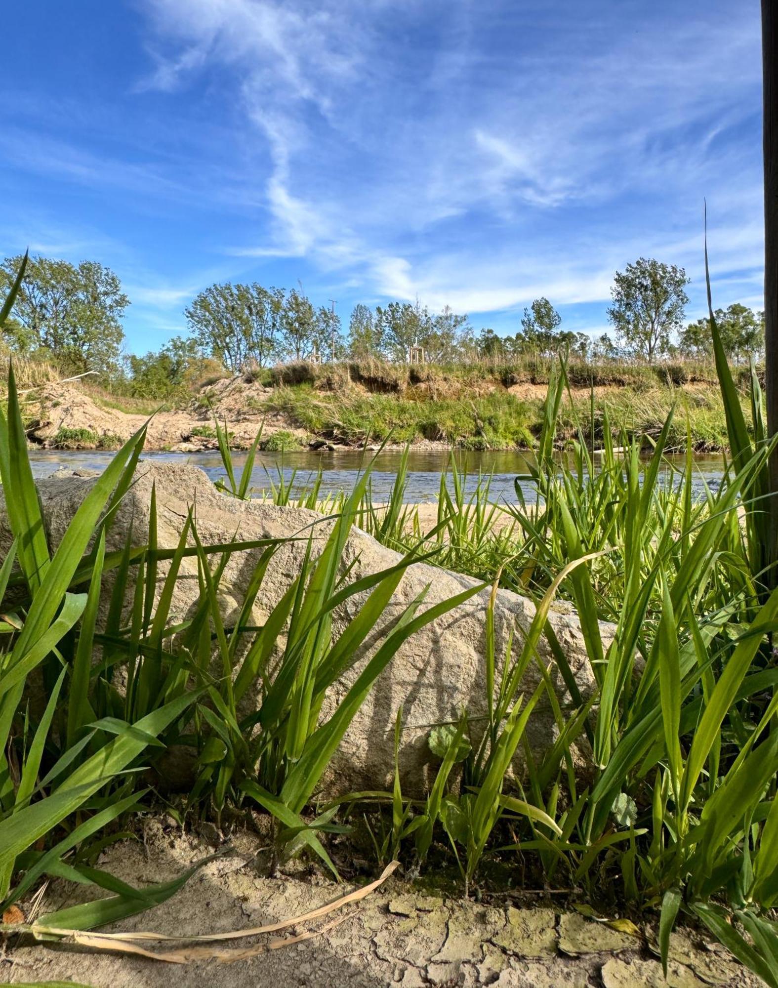 Am Flussgarten Eriskirch Exterior foto