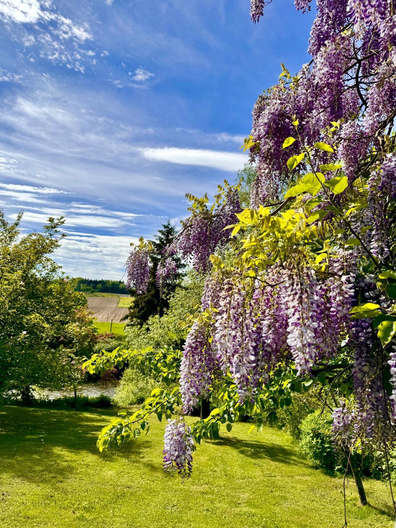 Am Flussgarten Eriskirch Exterior foto